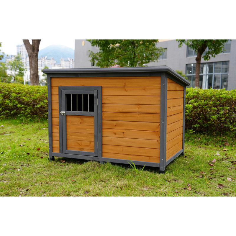 Grande niche pour chien en bois massif, toit imperméable, style élégant 45 po pour chiens