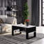 Shonae Coffee Table with Storage