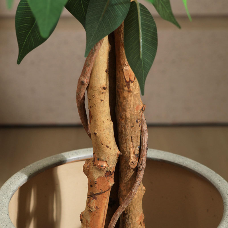 Alitza Faux Tree, 120cm H x 15.5cm W x 15.5cm D