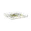 Amazonia Acrylic Square Decorative Tray-1811507775-1767129278