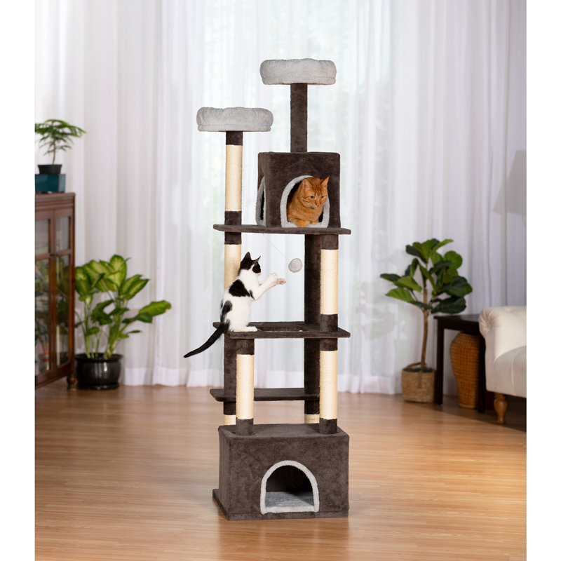  Tour pour chat Greycastle Estates