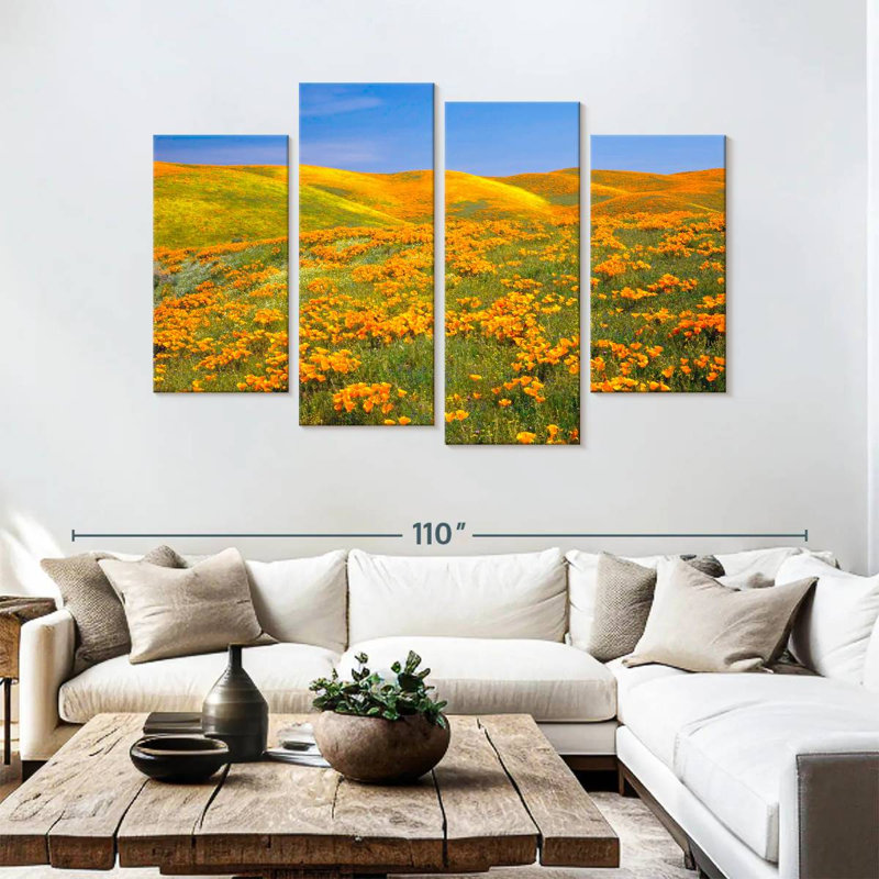 Coquelicots dorés d'Alvord, Californie, H 54 po x l 84 po
