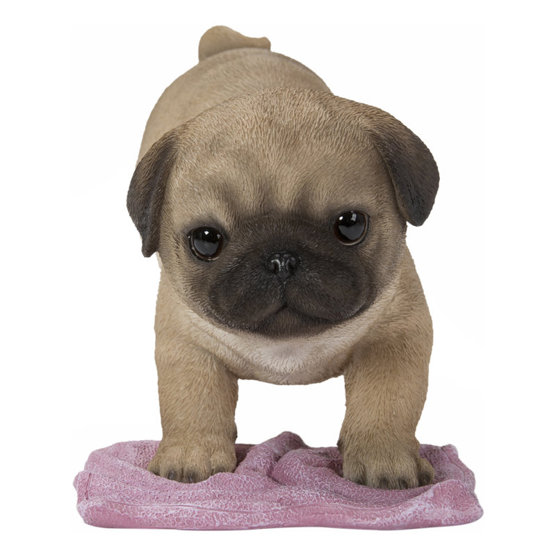Pug Mopping the Floor
