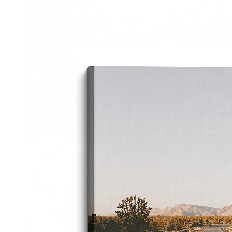 54 po x 36 po Desert Pathway, grande impression sur toile, H 72 po x l 48 po