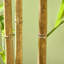 Faux bambou 70,75 po en pot