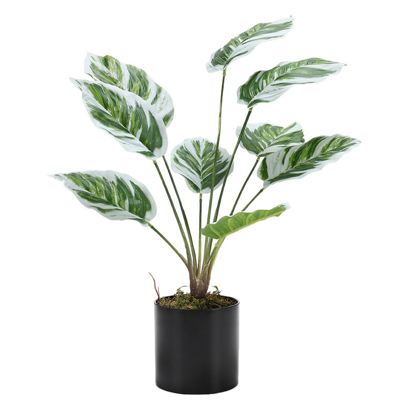 54.5cm Faux Devil's Ivy (Scindapsus Aureus) Plant in Pot