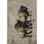 Tapis Premium lavable à la machine Mayfield AMF2245-2028985786-2028985788