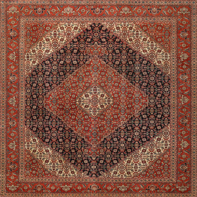 Tapis oriental brun / rouge