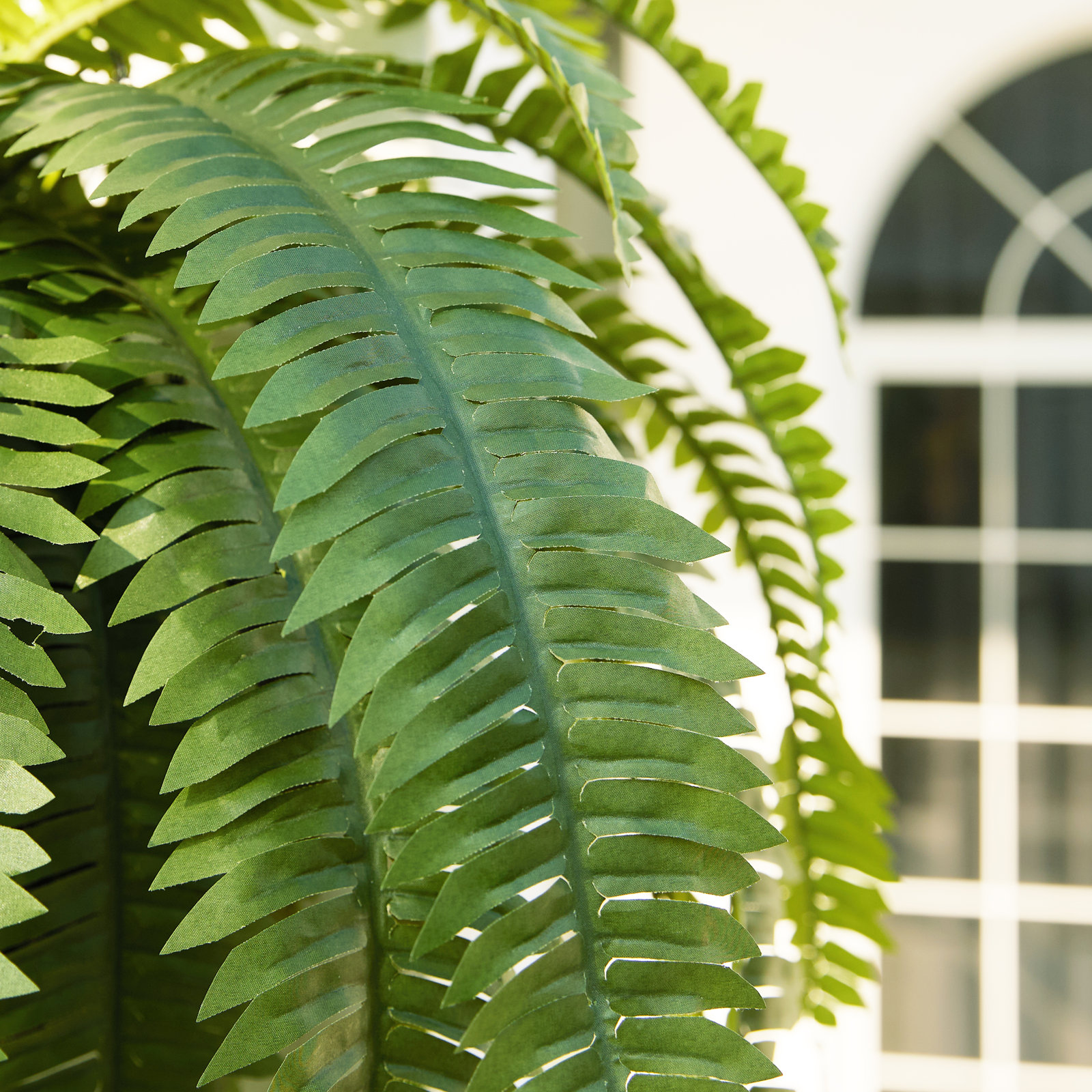 Adcock 39" Fern Plant, 2