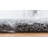 Walsenburg Oriental Indoor Rug-543254630