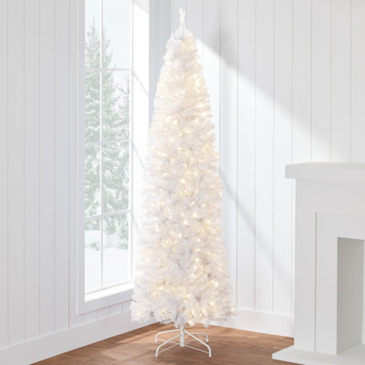 Lighted Christmas Tree