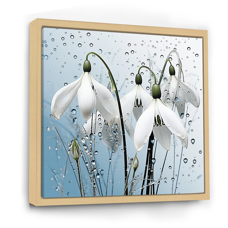 «Minimalisme Snowdrop Flower Photo IV», reproduction d'art sur toile, Cadre naturel flottant, 24" H x 24" W