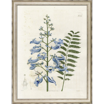 Large Blue Botanical I Print