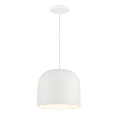 Luminaire suspendu en forme de dôme à 1 lumière Carpinteria