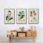 " Turpin Tropical Botanicals IV " 3 - Pieces-91891663-91891656