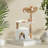 Cat Condos & Cat Trees,Cat Bed