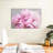 Harnek Peonies I-107499713
