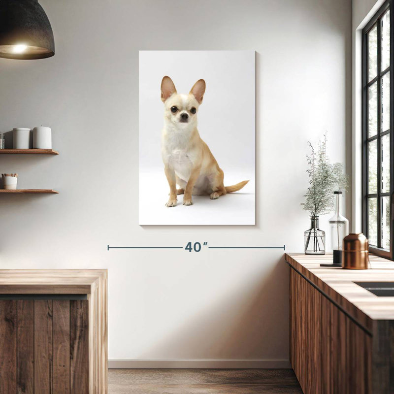 Brampt Seated Chihuahua, 39" H x 26" W