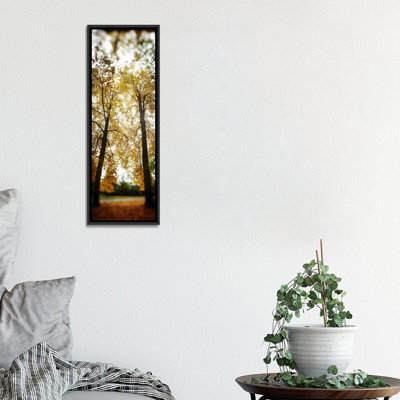 «Panoramic Autumn arbres in a park Volunteer Park, Capitol Hill, Seattle, King County, Washington State, USA» par Panoramic Images - reproduction d'art sur toile tendue