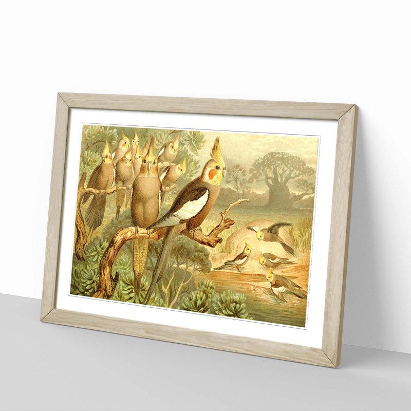 Brehms Tierleben - Single Picture Frame Painting, Oak