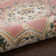 Wedgeworth Oriental Indoor Rug