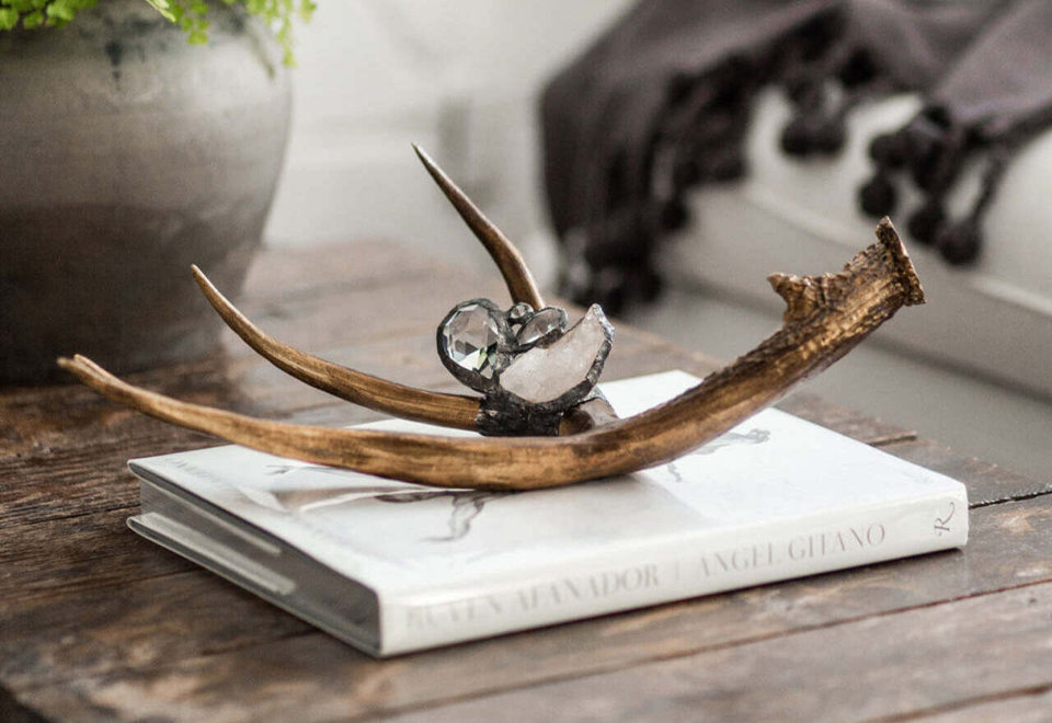 The Antler Collection