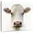 Charolais Cow-109221916