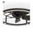 Dannae 30'' Ceiling Fan with LED Lights