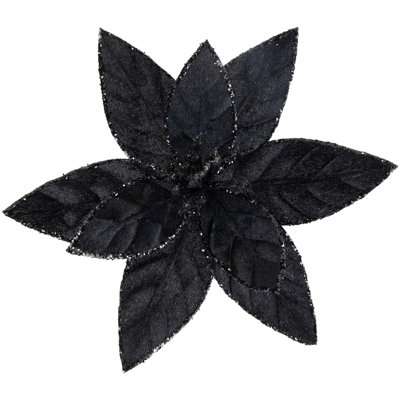 Tiges de poinsettia