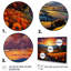 Italy Umbrian Sunrise - Italy Canvas Wall Art-66481296-66481306
