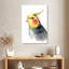 Mignon perruche Brampt-108386278
