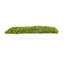 Moss 6" Artificial in Fiberstone Planter-1306162797-1306519054