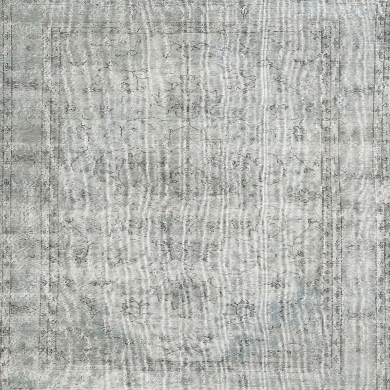 Renuka Oriental Indoor Rug, Square 8'