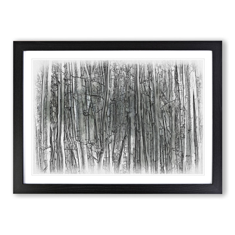 Forest Woodland - Picture Frame Drawing, Black, 65cm H x 90cm W x 2cm D