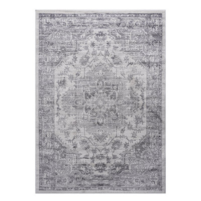 Tapis argenté 5X7 sans perte de teinture, idéal pour le salon, la chambre à coucher, la salle à manger, le bureau, la cuisine et le bureau