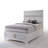 Naima White Finish Queen Bed W/Storage