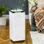 Console Dehumidifier