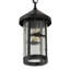Bonefish Fulton 1 - Light LED Outdoor Hanging Lantern