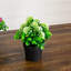 Arrangement
