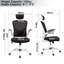 Ludovica 52 cm Wide High Back Mesh Ergonomic Office Chair With Adjustable Headrest, Armrest, Lumbar-383779404