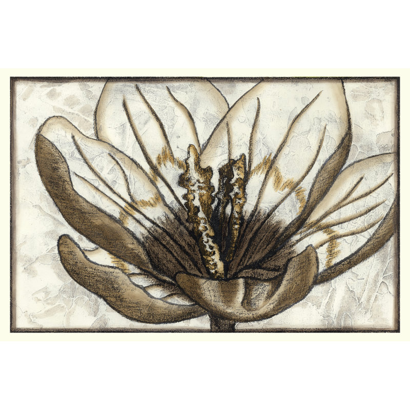 Fresco Flowerhead IV by Nancy Slocum - Wrapped Canvas Painting, 30cm H x 46cm W