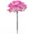 Blanc / Rose est en rupture de stock