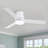 Amici Modern 48'' Flush Mount Ceiling Fan with LED Lights and Remote Control-93866032