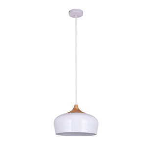 Luminaire suspendu en forme de dôme à 1 lumière Belmont