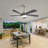 Damecia 52'' Ceiling Fan with LED Lights-1444270904