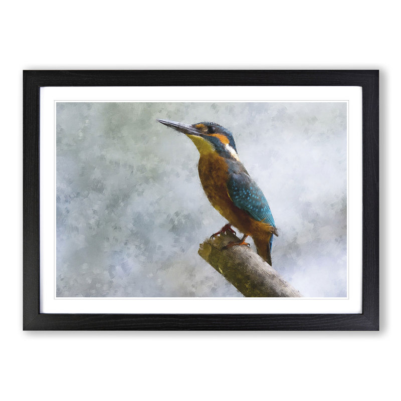 Graceful Kingfisher Bird - Picture Frame Graphic Art Print, 33cm H x 45cm W x 2cm D, Black Framed