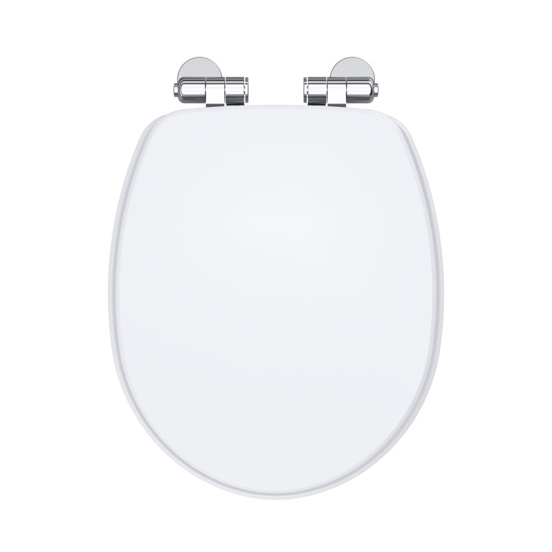 Soft Close Elongated Standard Toilet Seat