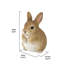 Statue chubby lapin debout