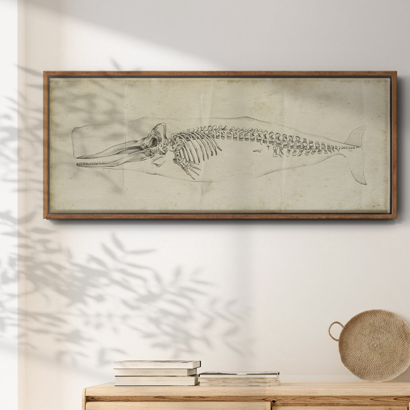 Whale Study II- Framed Canvas, 8" H x 20" W