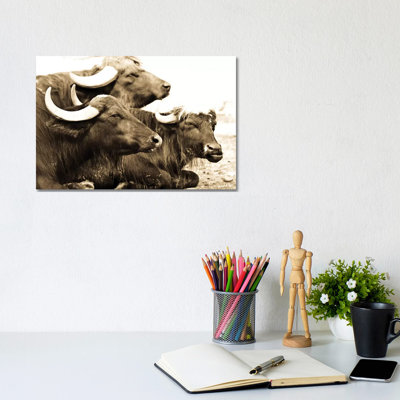 Bisons I by Goran Anastasovski - Wrapped Canvas Print